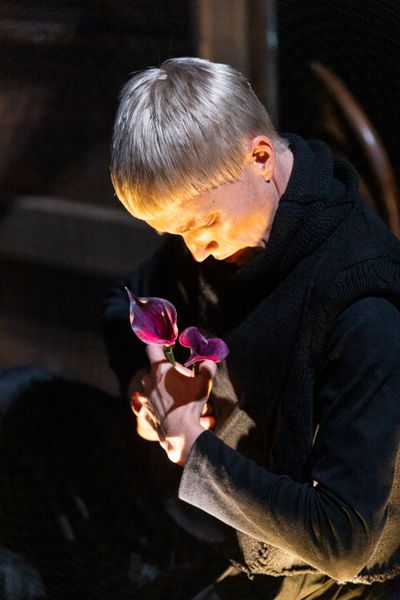 2024 Bell Shakespeare A Midsummer Nights Dream SOH Photo Brett Boardman