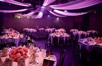 2022 Bell Shakespeare GALA JPG c Tony Davison 159