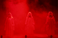Witches 1200 x800